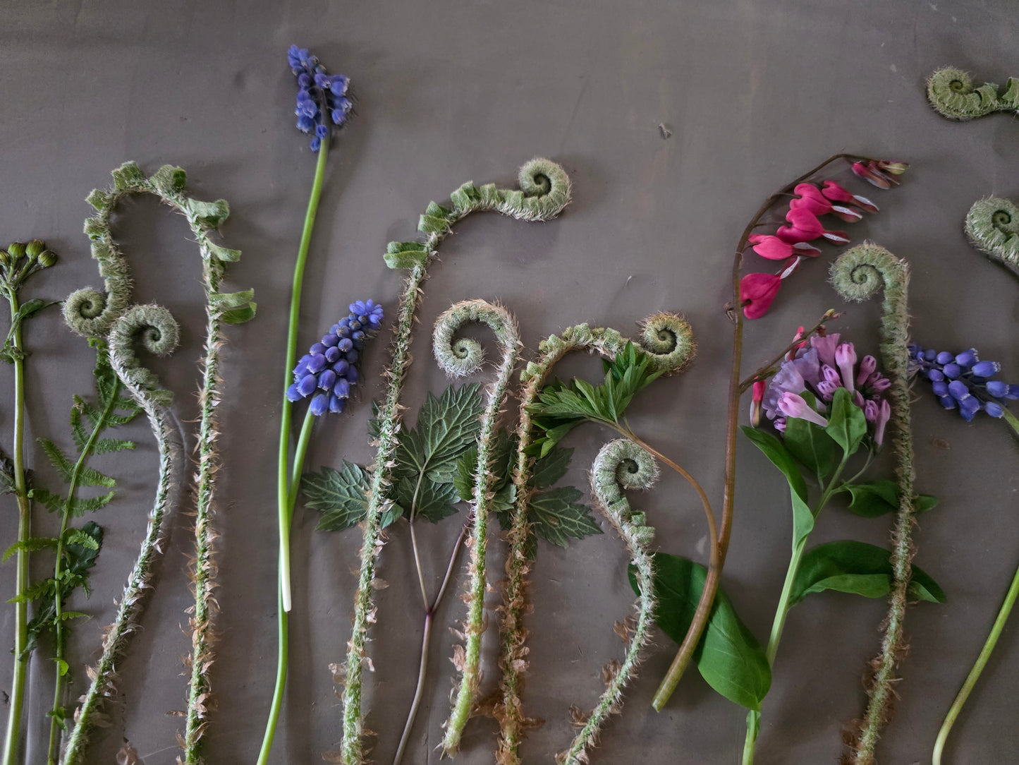 Botanical Print Trinket Dish Ceramic Workshop