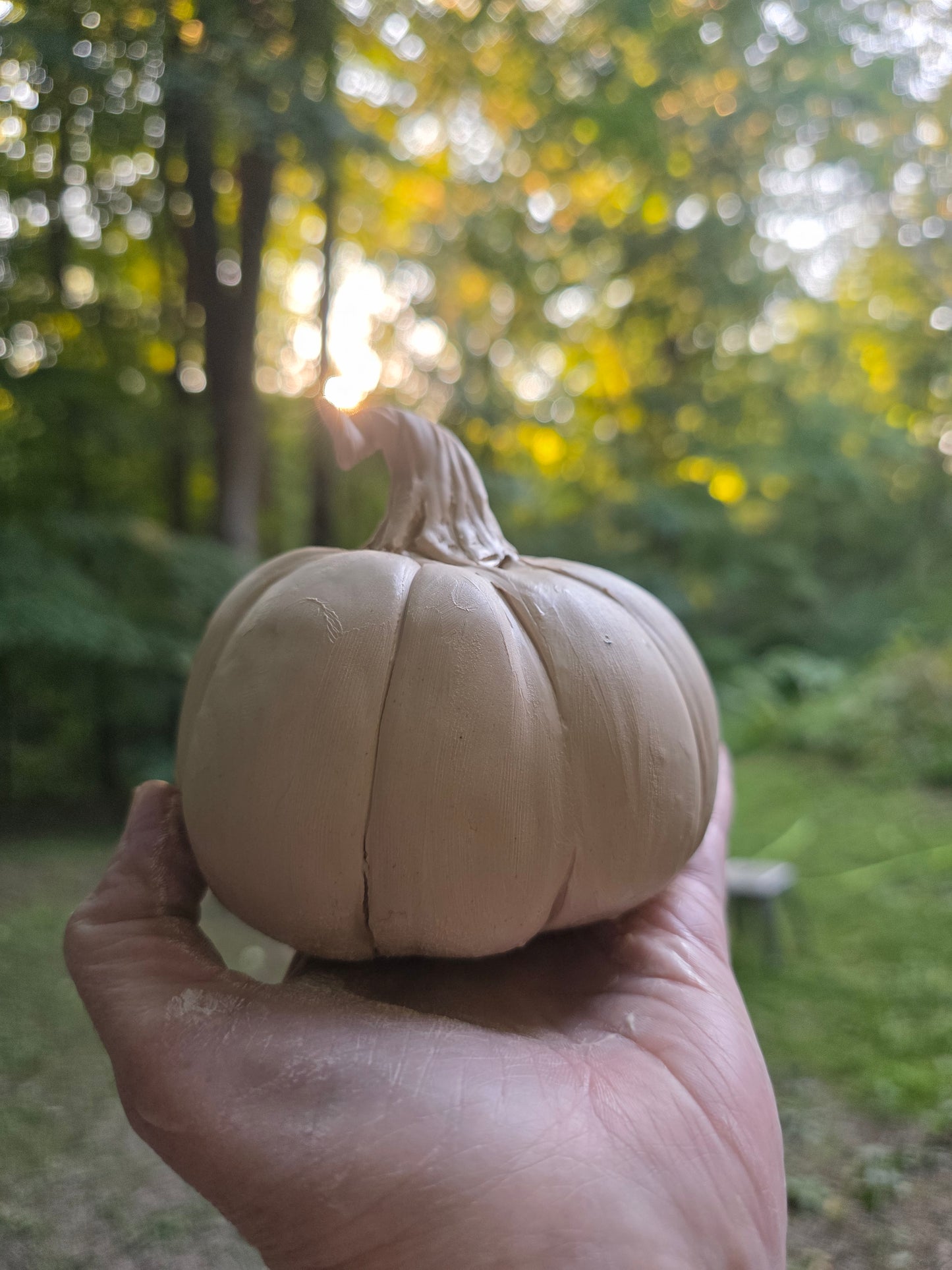 Fall Pumpkin Workshop